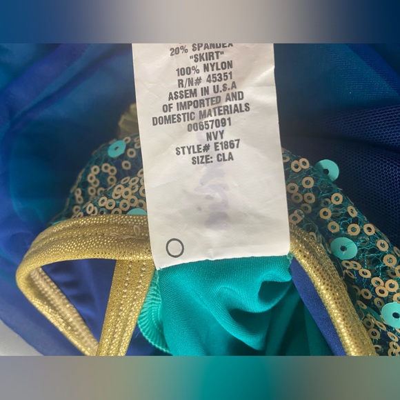 Curtain Call Flowers in Bloom Blue & Gold Dance Costume Empire Waist Dress - Picture 4 of 4